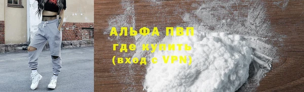 стафф Иннополис