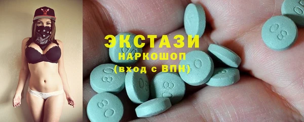 мдпв Каменка