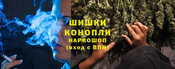 прущие грибы Каменск-Шахтинский