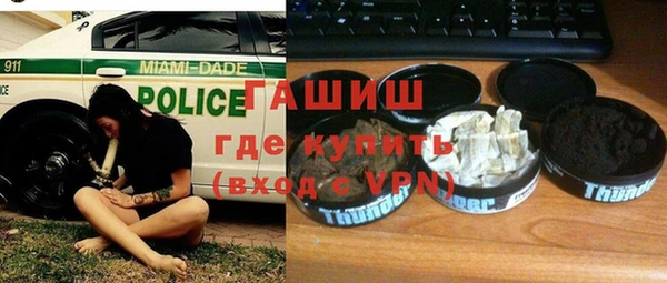 мдпв Каменка