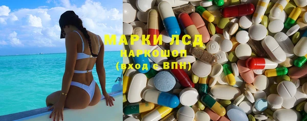 мдпв Каменка