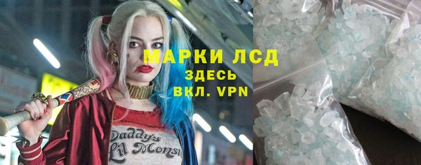 прущие грибы Каменск-Шахтинский
