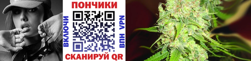 Купить где  Ипатово  Бошки Шишки сатива 